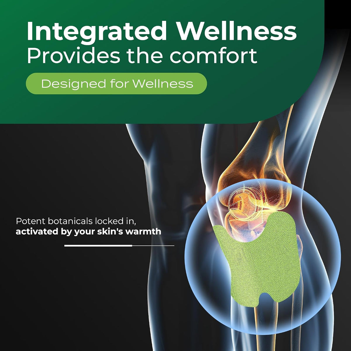 Illustration of a knee joint with the Murti Export herbal patch applied